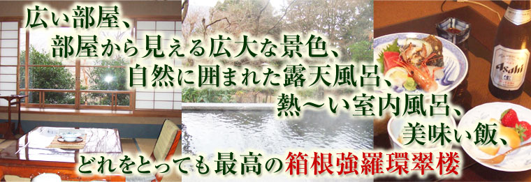 広い部屋、部屋から見える広大な景色、自然に囲まれた露天風呂、熱〜い室内風呂、美味い飯、どれをとっても最高の箱根強羅環翠楼