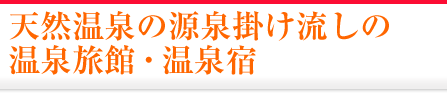 天然温泉の源泉掛け流しの温泉旅館・温泉宿